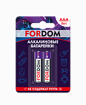 FORDOM Элементы питания AAA LR3 2шт